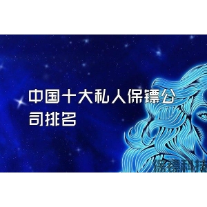 中国十大私人保镖公司排名