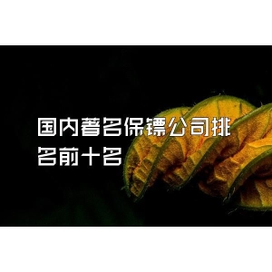 国内著名保镖公司排名前十名