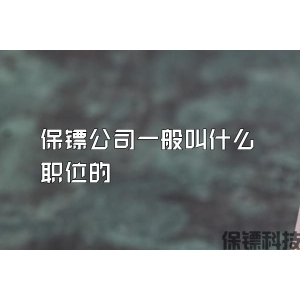 保镖公司一般叫什么职位的
