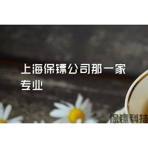 上海保镖公司那一家专业