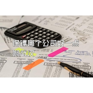 保镖哪个公司好一点啊武汉