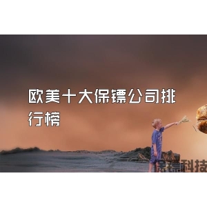 欧美十大保镖公司排行榜