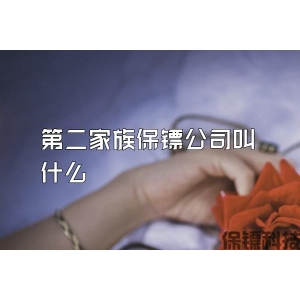 第二家族保镖公司叫什么