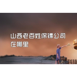 山西老百姓保镖公司在哪里