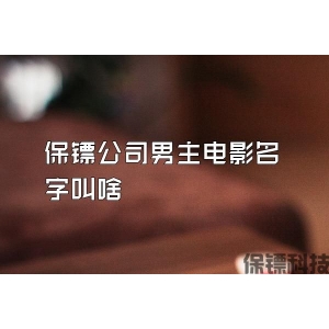 保镖公司男主电影名字叫啥