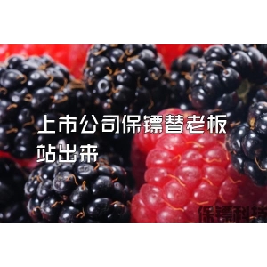 上市公司保镖替老板站出来