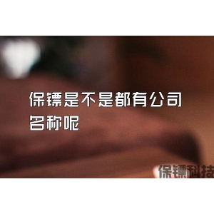 保镖是不是都有公司名称呢