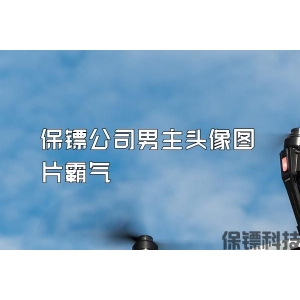 保镖公司男主头像图片霸气