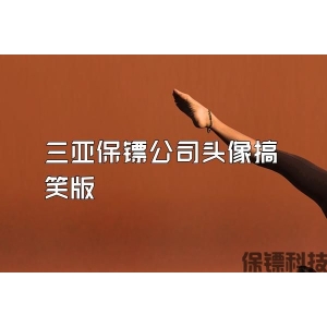 三亚保镖公司头像搞笑版