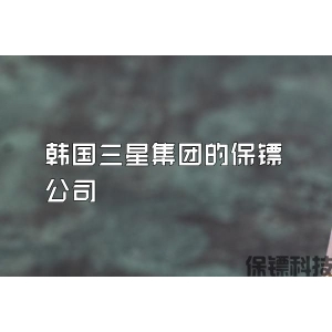 韩国三星集团的保镖公司