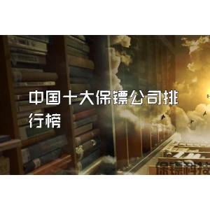 中国十大保镖公司排行榜