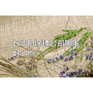 长沙的保镖公司哪家好一点