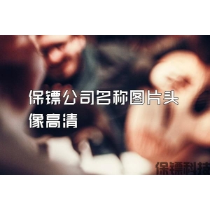 保镖公司名称图片头像高清