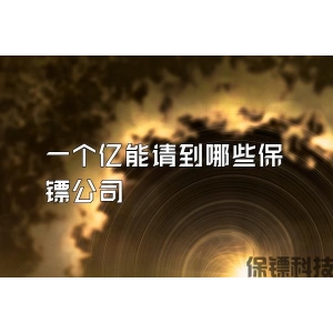 一个亿能请到哪些保镖公司