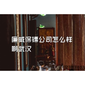 廉威保镖公司怎么样啊武汉