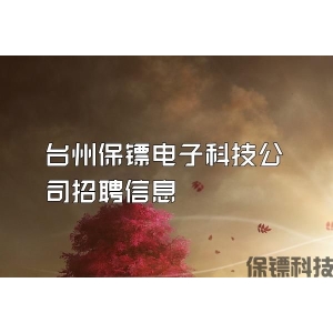 台州保镖电子科技公司招聘信息