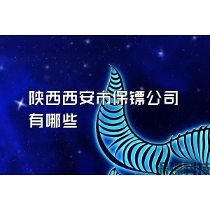 陕西西安市保镖公司有哪些