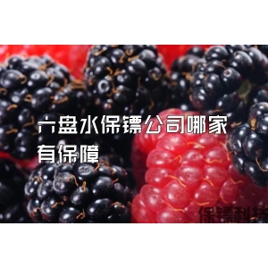 六盘水保镖公司哪家有保障