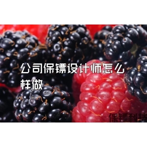 公司保镖设计师怎么样做