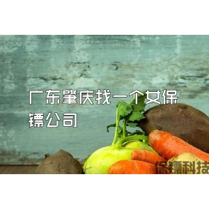 广东肇庆找一个女保镖公司