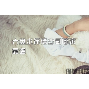 六盘水保镖公司哪家靠谱