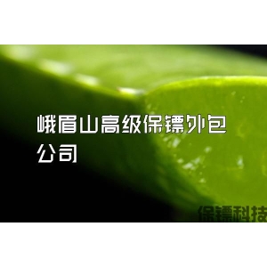 峨眉山高级保镖外包公司