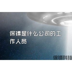 保镖是什么公司的工作人员
