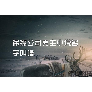 保镖公司男主小说名字叫啥