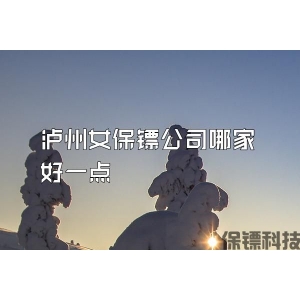 泸州女保镖公司哪家好一点