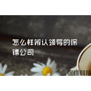 怎么样辨认领导的保镖公司