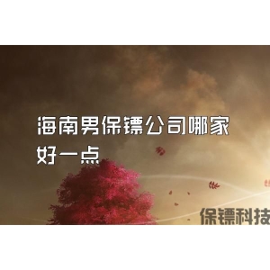 海南男保镖公司哪家好一点