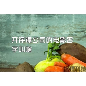 开保镖公司的电影名字叫啥