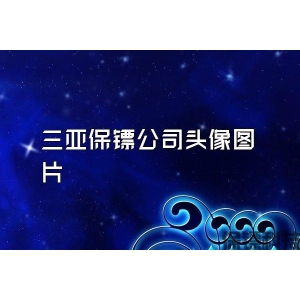 三亚保镖公司头像图片