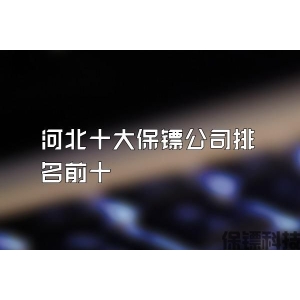河北十大保镖公司排名前十