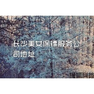 长沙美女保镖服务公司地址
