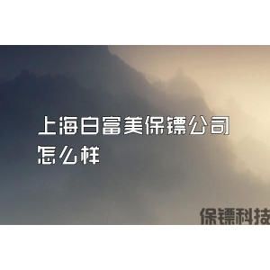 上海白富美保镖公司怎么样