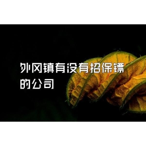 外冈镇有没有招保镖的公司