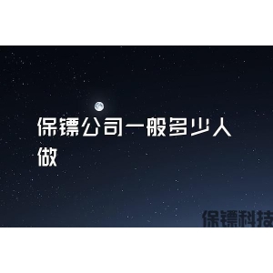 保镖公司一般多少人做