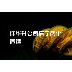 许华升公司请了两个保镖