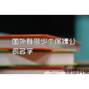 国外有多少个保镖公司名字