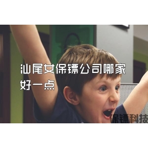汕尾女保镖公司哪家好一点