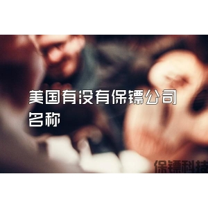 美国有没有保镖公司名称