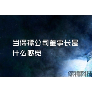 当保镖公司董事长是什么感觉