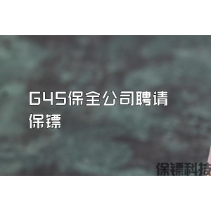 G4S保全公司聘请保镖