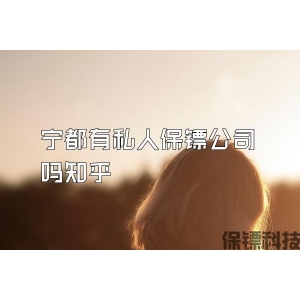 宁都有私人保镖公司吗知乎