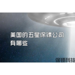 美国的五星保镖公司有哪些