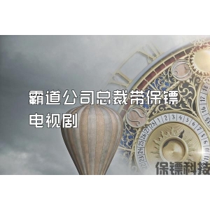 霸道公司总裁带保镖电视剧