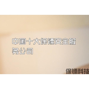 中国十大保镖安全服务公司