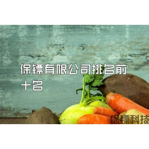 保镖有限公司排名前十名