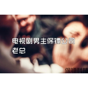 电视剧男主保镖公司老总